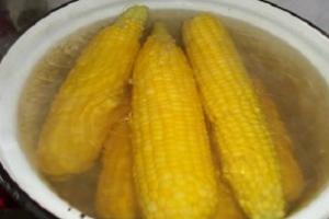 Маринованная кукуруза: консервируем в початках и зернах